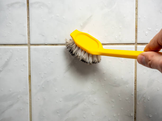 Best Emergency Mold Removal  in Cadott, WI