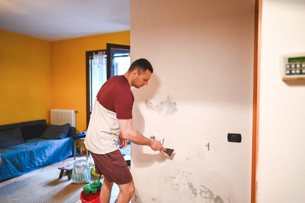 Best Mold Remediation  in Cadott, WI